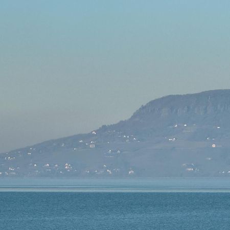Balaton A Kertben - Balaton In The Garden - Beachfront Houses With Beautiful View, Private Beach Balatonfenyves Luaran gambar